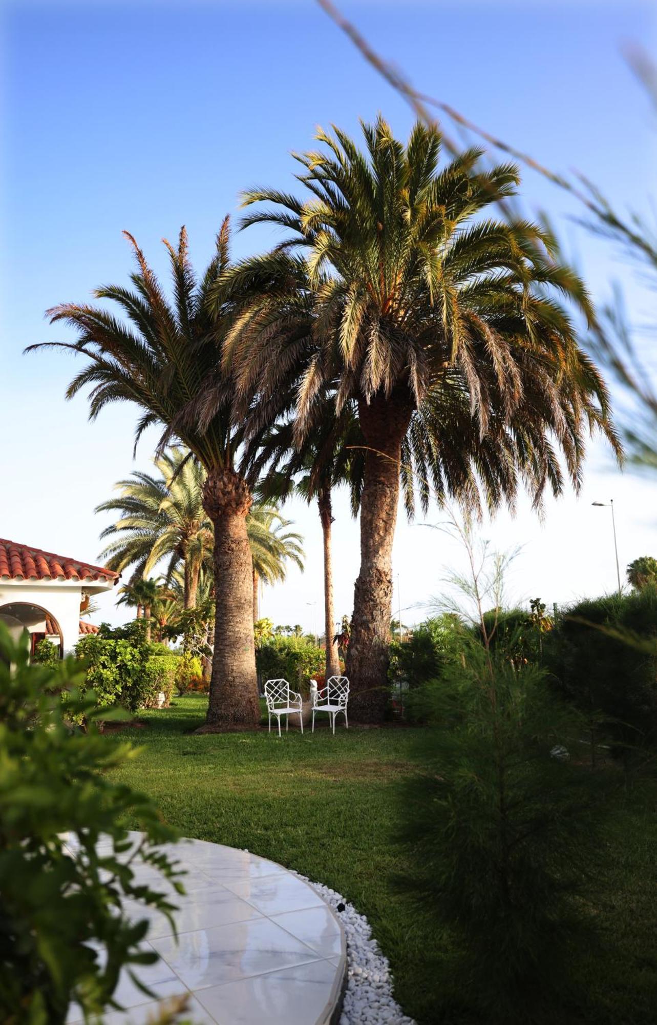 Sun Club Playa Del Ingles Hotel ภายนอก รูปภาพ